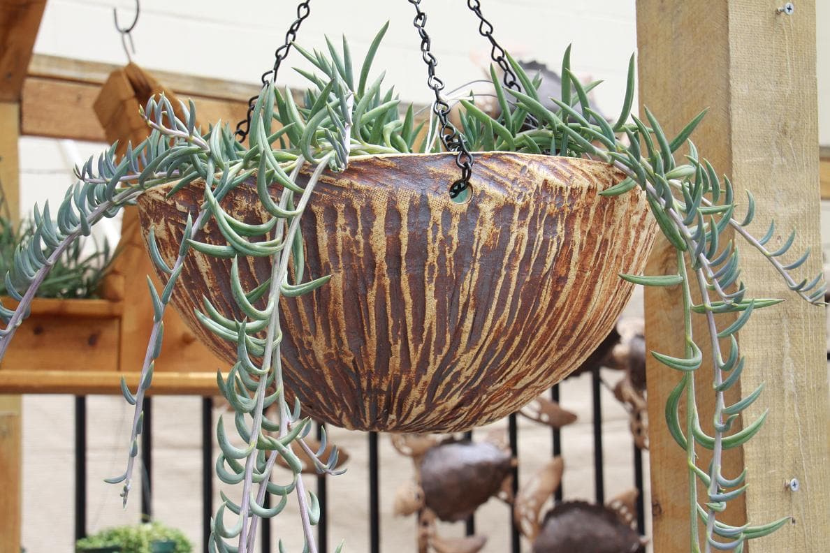 Bamboo Oxide Hanging Planter
