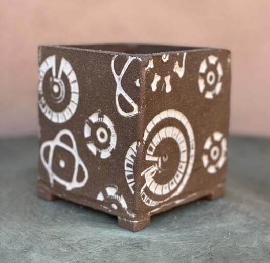 5" Antique White Fossil Square