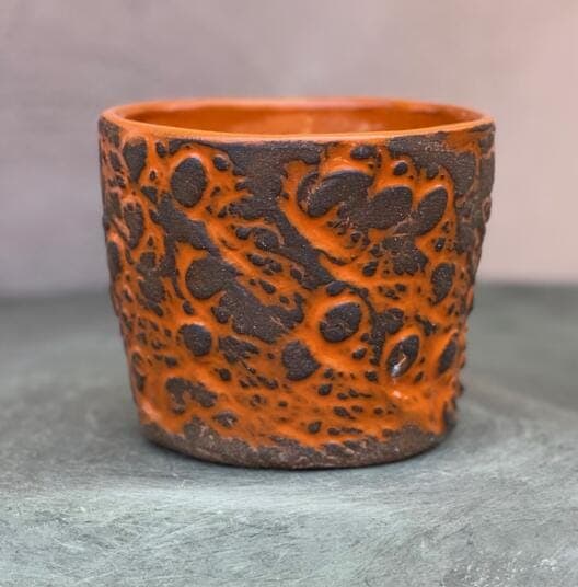 4" Orange Cosmos Planter