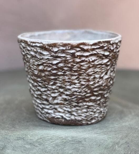 4" White Bark Planter