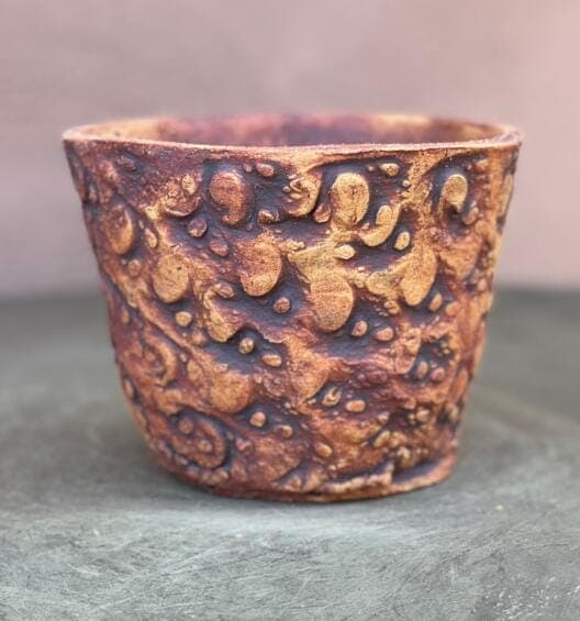 4" Organic Cosmos Planter