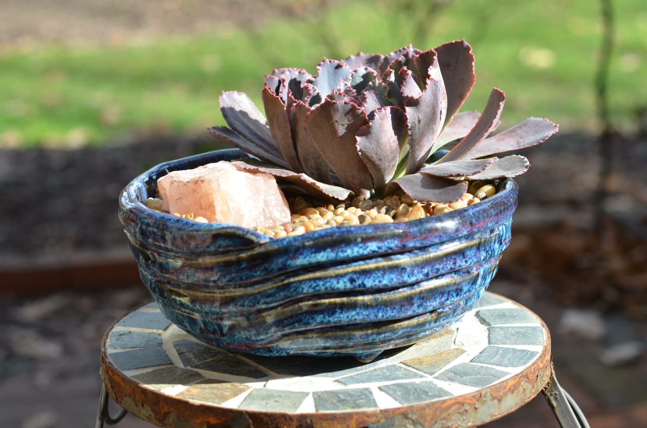 Susan Aach Ceramic Pots for Succulents