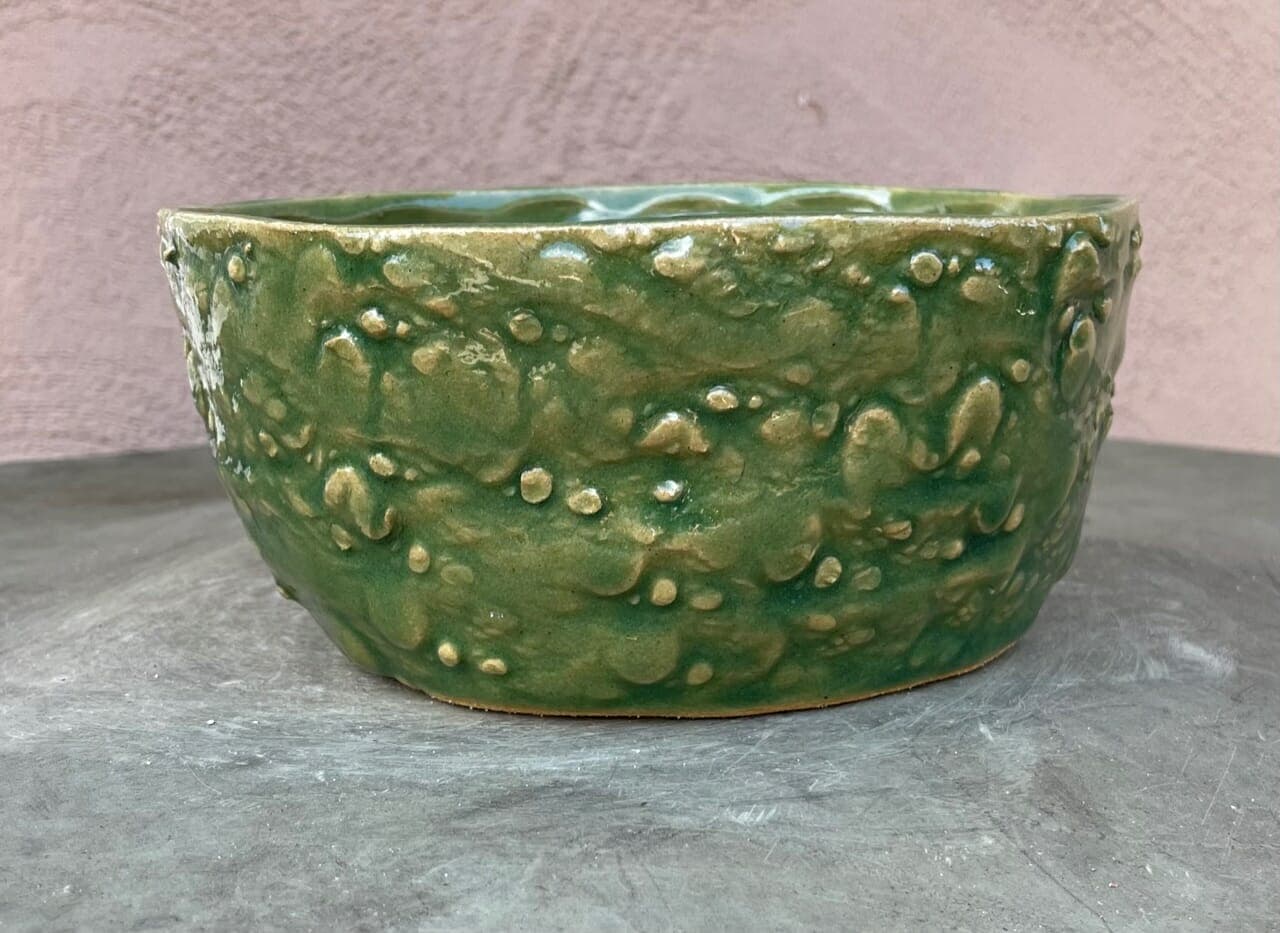 6" Spring Cosmos Planter