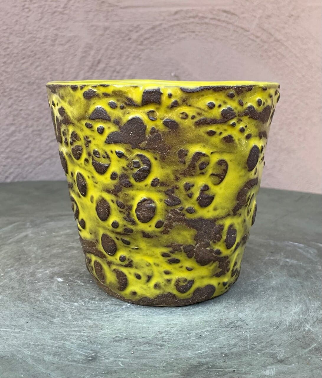 5" Chartreuse Cosmos Planter
