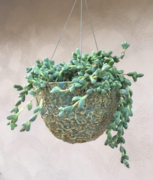 Hanging Planters